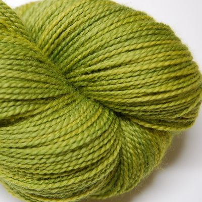 Ivy Brambles SockScene Sock Yarn - 102 Spring Meadow